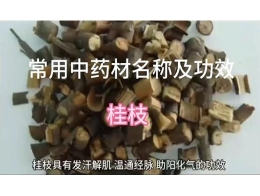 《爱肝科普小课堂》第十四讲：常用中药材名称及功效，桂枝
